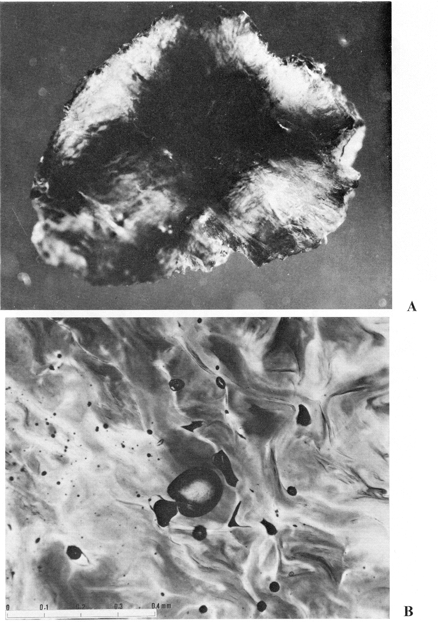 Tektites And Their Origin - O'Keefe 1976 - Chapter 3